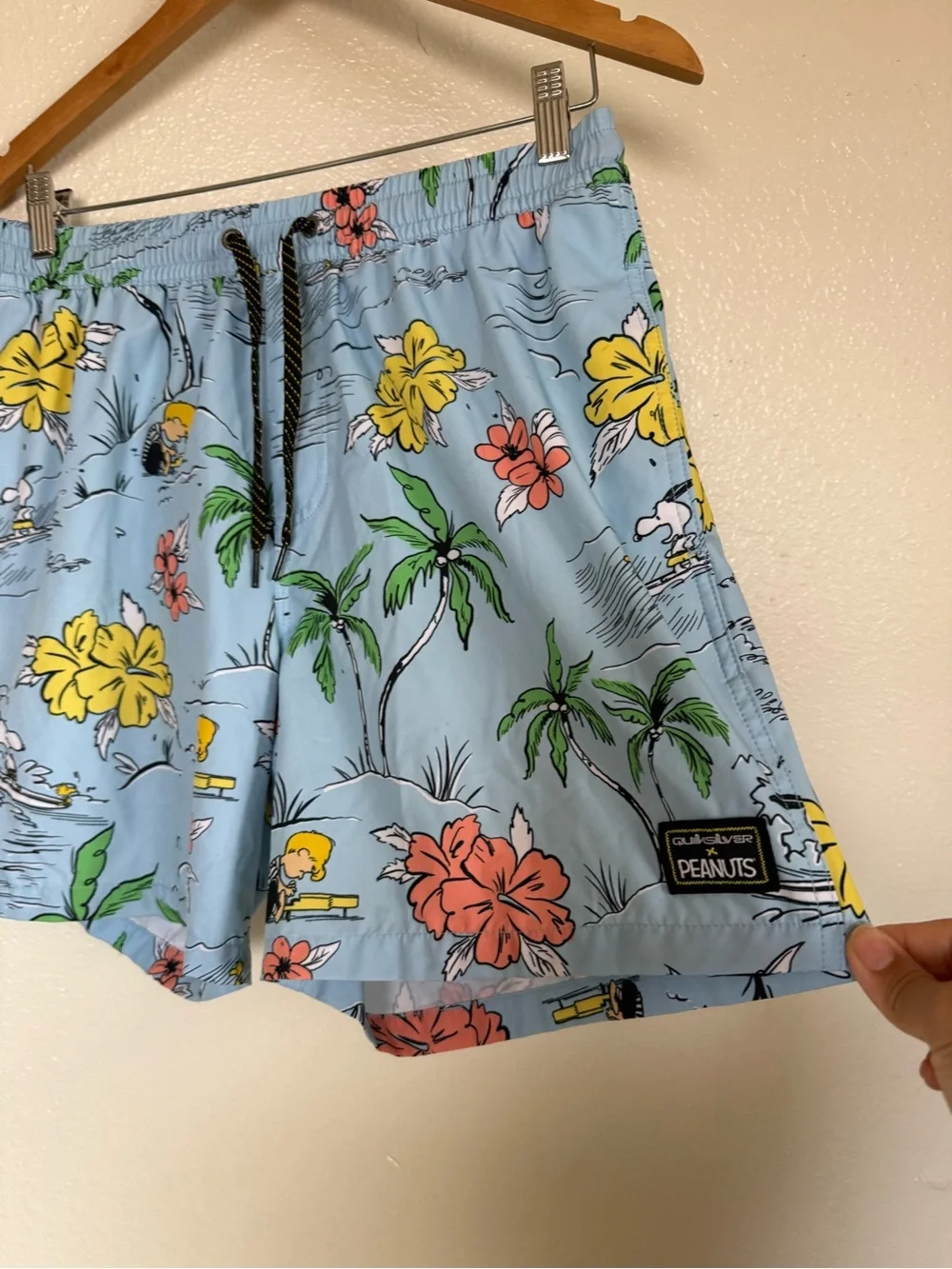Quiksilver x Peanuts Snoopy Shred 17